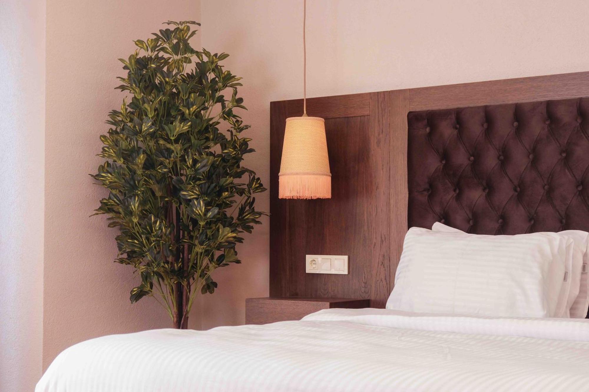 Phellos Suites Boutique Hotel Ağva Εξωτερικό φωτογραφία